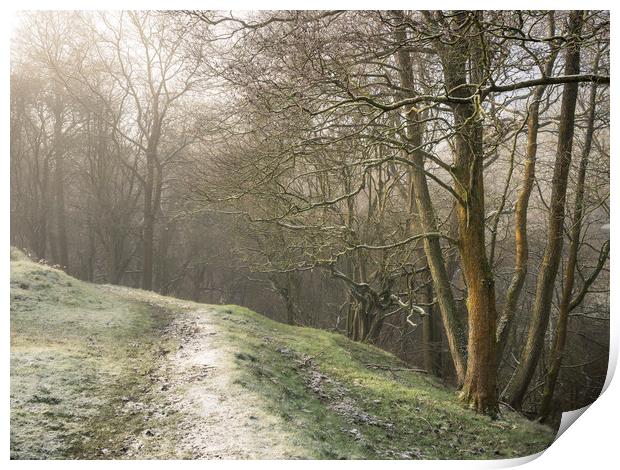 Frosty walk beside the woods Print by Andrew Kearton
