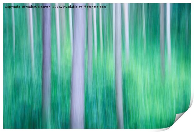 Abstract forest colours Print by Andrew Kearton