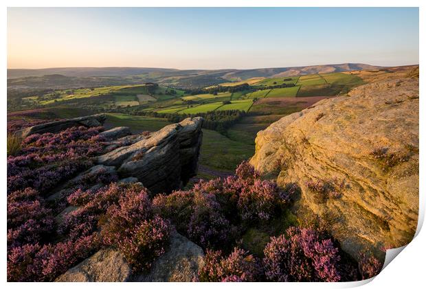 Summer colour on the moors Print by Andrew Kearton
