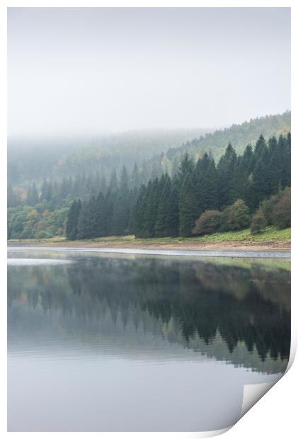 Forest in reflection Print by Andrew Kearton