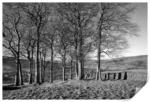 Twenty trees, Hayfield, Derbyshire Print by Andrew Kearton