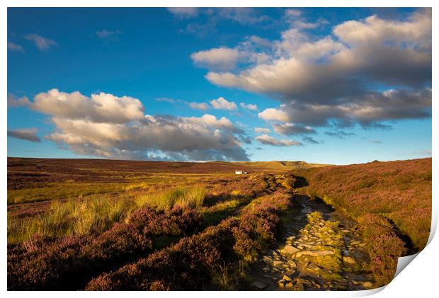 Heather blooming on moors above Hayfield Print by Andrew Kearton