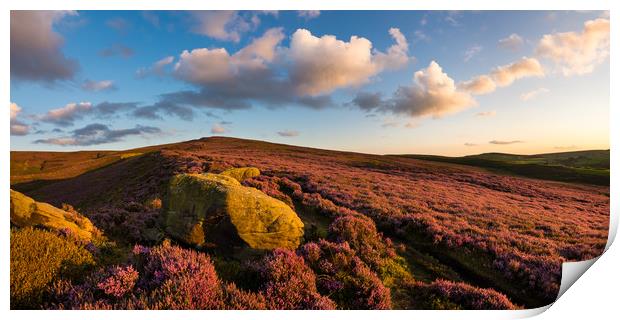 Heather moorland at sunset Print by Andrew Kearton