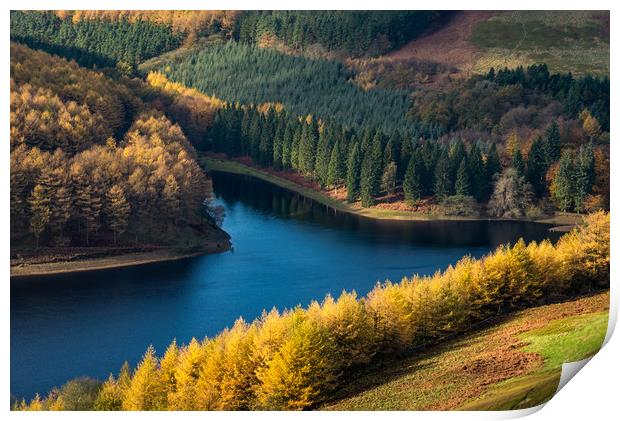 Vivid autumn colour at Derwent reservoir Print by Andrew Kearton