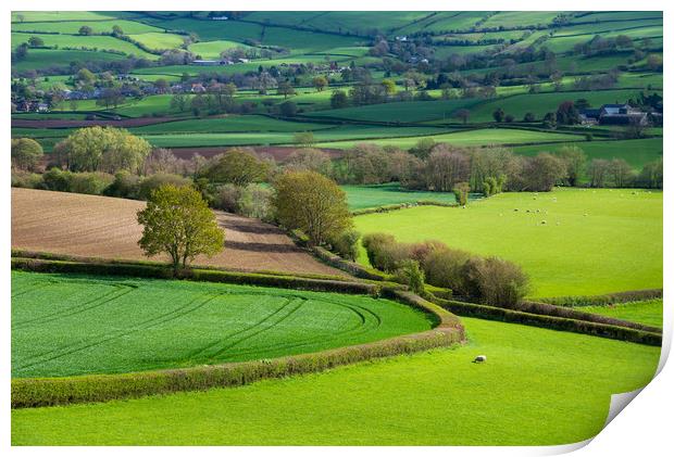 Shropshire countryside in spring Print by Andrew Kearton