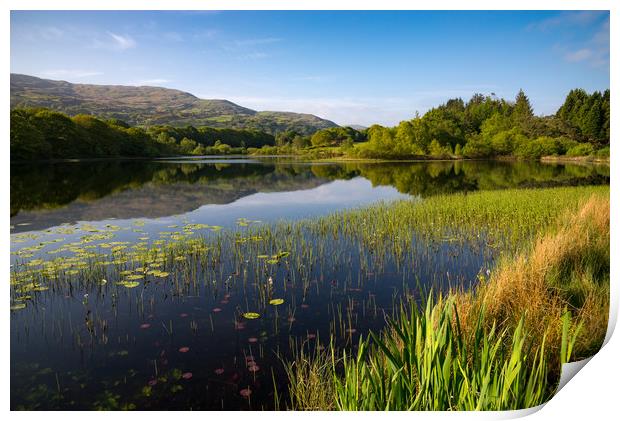 Llyn Tecwyn Isaf, North Wales Print by Andrew Kearton