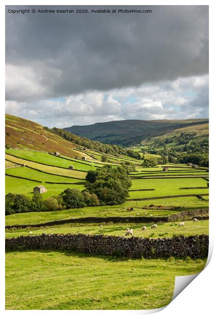 Upper Swaledale, Yorkshire Dales Print by Andrew Kearton
