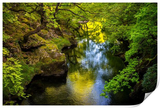 Colour reflected in the Afon Glaslyn, North Wales Print by Andrew Kearton