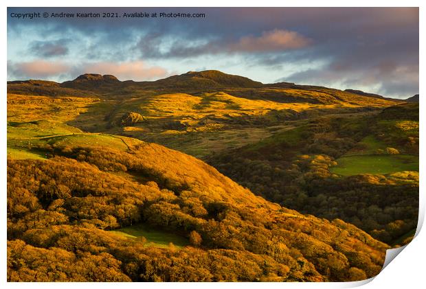 Autumn colour in hills near Harlech, North Wales Print by Andrew Kearton