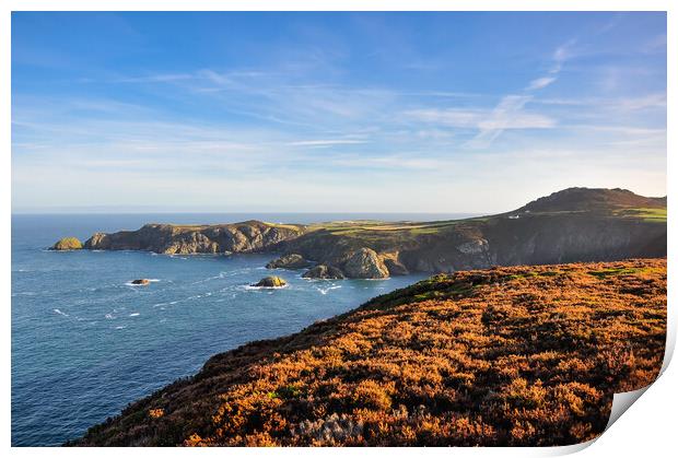 Pwll Deri at sunrise, Pembrokeshire, Wales Print by Andrew Kearton