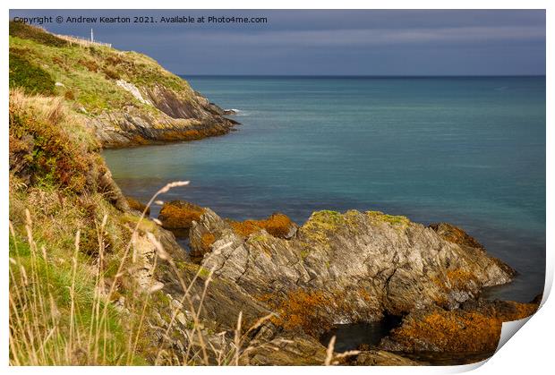 Rocky coastline at Newport Parrog, Pembrokeshire Print by Andrew Kearton