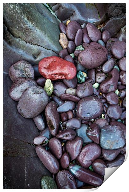 Purple rocks at Abermawr, Pembrokeshire, Wales Print by Andrew Kearton