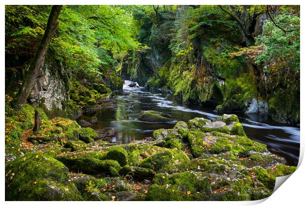 Fairy Glen, Betws-y-Coed, North Wales Print by Andrew Kearton