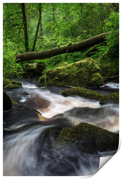 Wyming Brook, Sheffield, England Print by Andrew Kearton