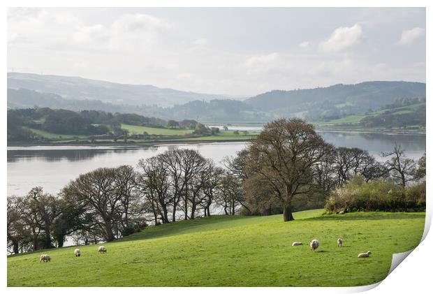 Peaceful scene beside the river Conwy, North Wales Print by Andrew Kearton