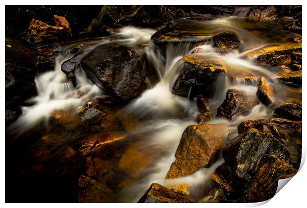 Go with the Flow Print by John Malley