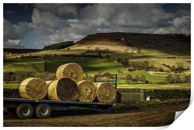  Hay Bales Print by David Oxtaby  ARPS