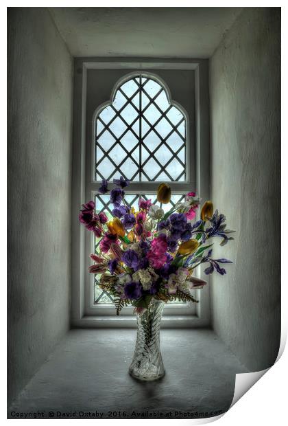 Flowers on Church sill Print by David Oxtaby  ARPS