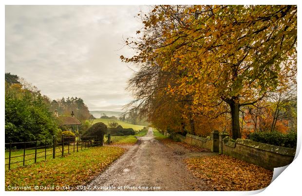 Egton on a misty morning Print by David Oxtaby  ARPS