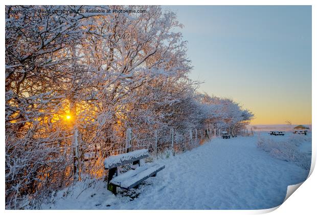Winter sunrise  Print by David Oxtaby  ARPS