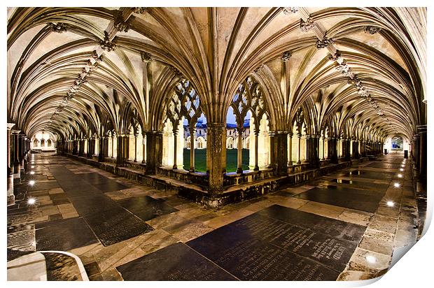  Norwich Cathedral Cloisters Print by Darren Carter