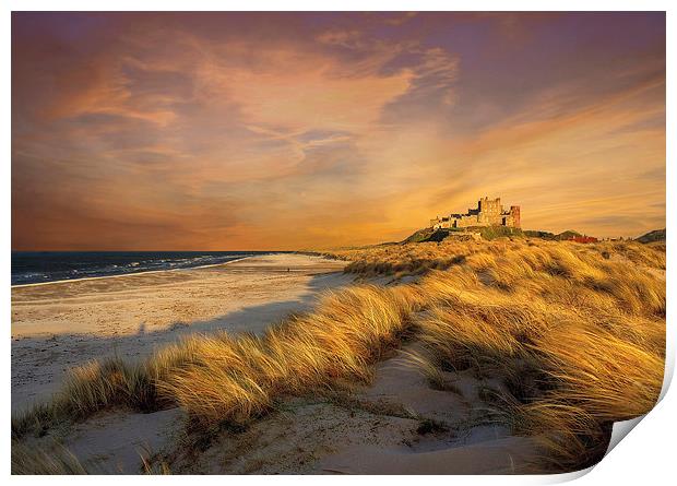  Bamburgh Castle Print by IAN SUFFIELD