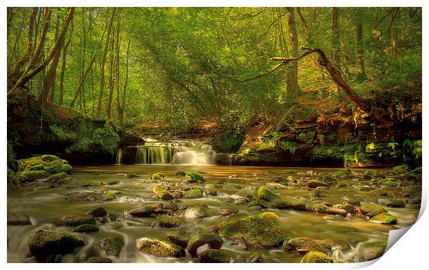 Babbling Brook  Print by IAN SUFFIELD