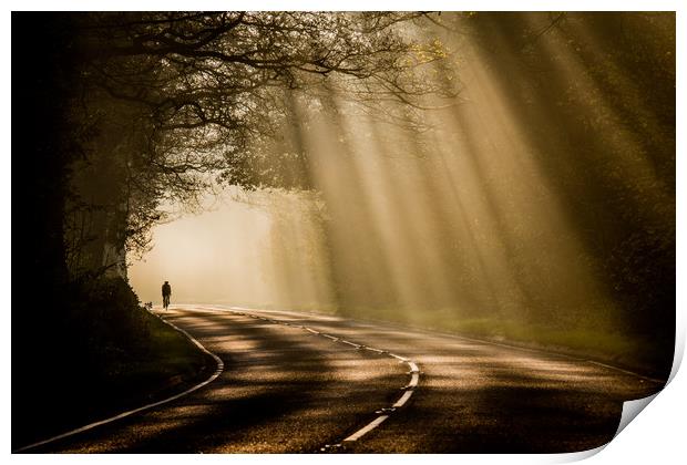 Cycling through sunrays Print by Jonathan Smith