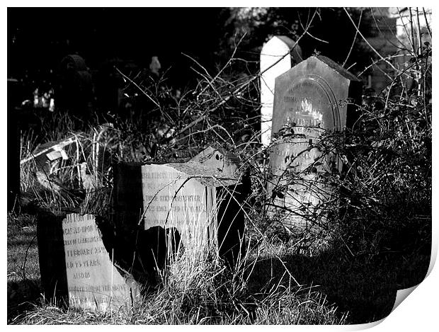  Jesmond Old Cemetery Print by Alexander Perry