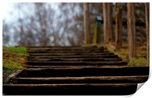  Woodland Steps Print by Squawk Photography