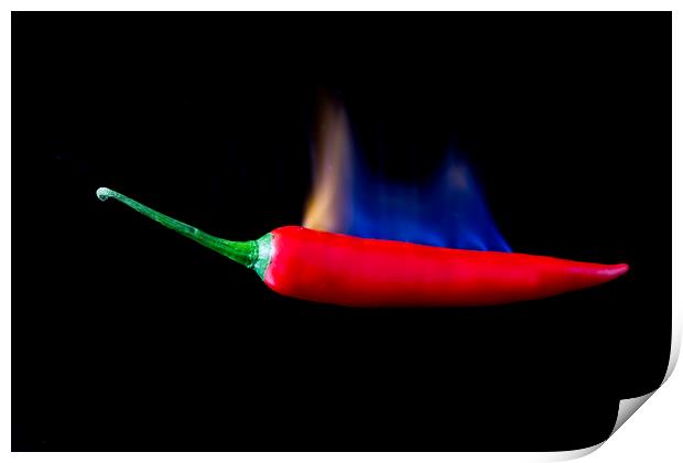 Red Hot Chilli Print by Des O'Connor