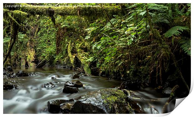  Latourell Creek, Oregon Print by Hans Franchesco