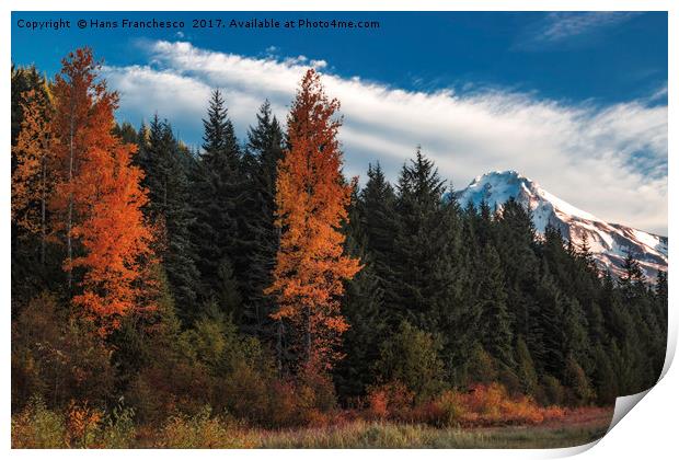 Color at Mt. Hood Print by Hans Franchesco