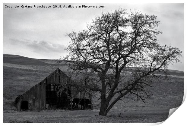 The barn and the tree Print by Hans Franchesco