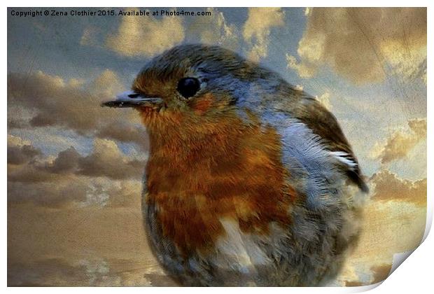  Robin Redbreast Print by Zena Clothier