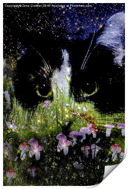  Starry Eyes Print by Zena Clothier