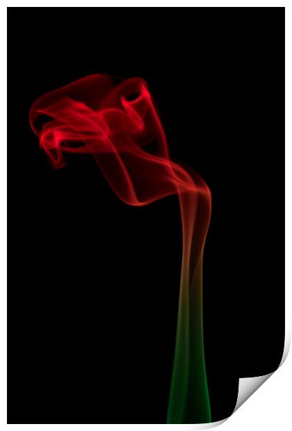 Abstract smoke flower Print by Sonia Packer
