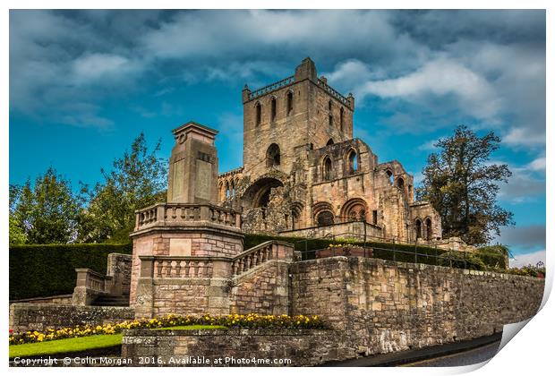 Jedburgh Abbey Print by Colin Morgan