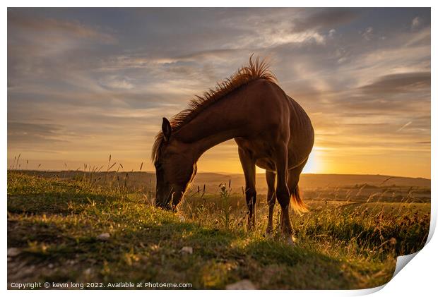 A horse standing on top of a grass covered field Print by kevin long