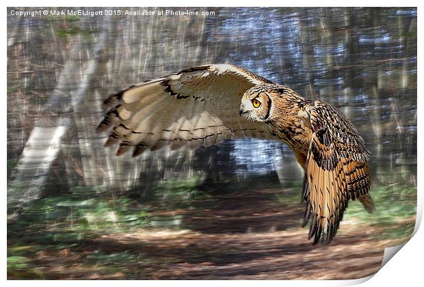  Eurasian Eagle Owl Print by Mark McElligott