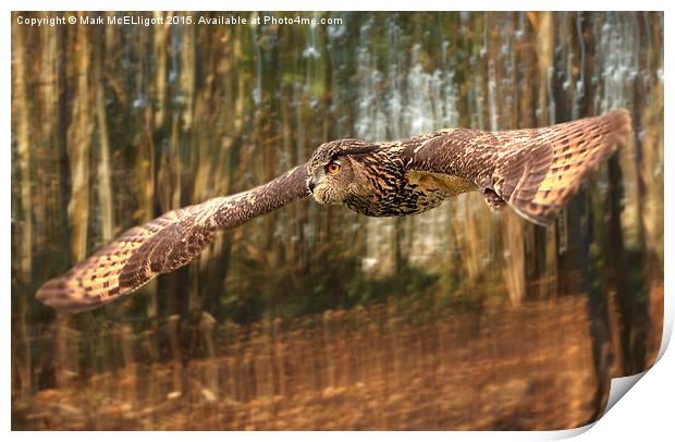  European Eagle Owl Print by Mark McElligott