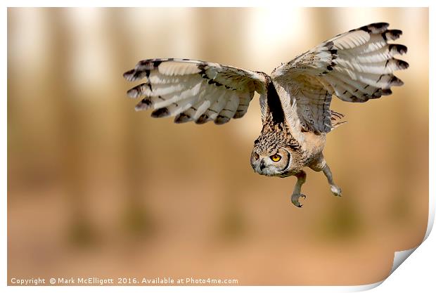 Eurasian Eagle Owl On The Hunt Print by Mark McElligott