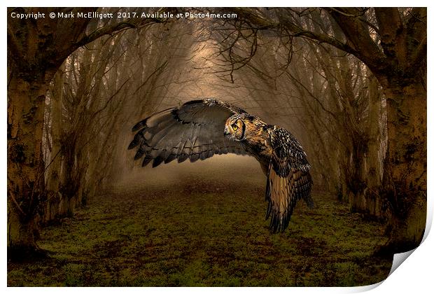 Feathers Of The Enchanted Forest Print by Mark McElligott
