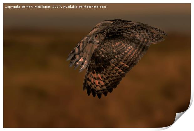 Eagle Owl Fly By Print by Mark McElligott