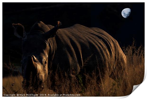 Rhino In The Evening Darkness Print by Mark McElligott
