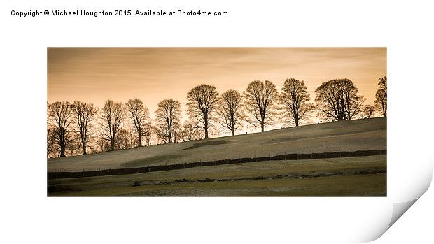  Treeline at dusk Print by Michael Houghton