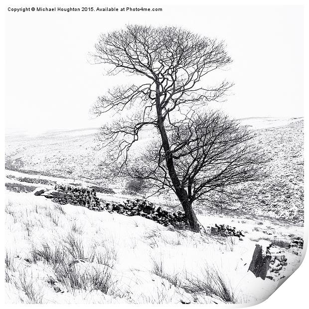  Bronte tree in the snow Print by Michael Houghton