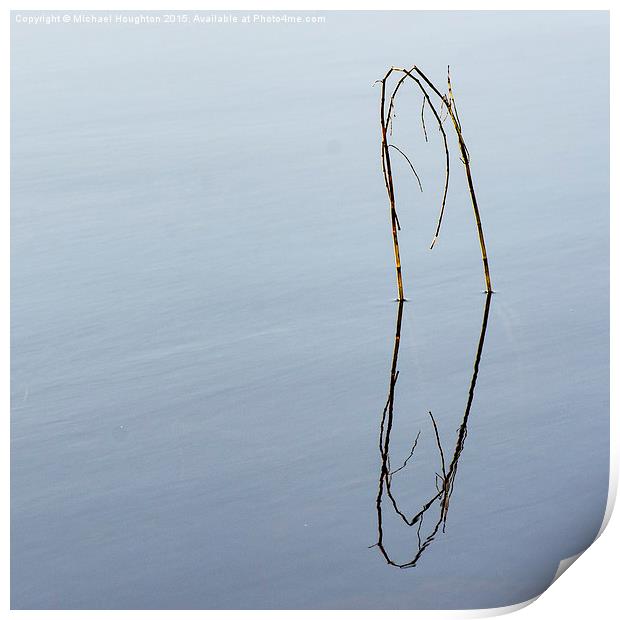 Reflected reeds Print by Michael Houghton