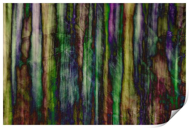 Stained Glass Woods Print by Michael Houghton
