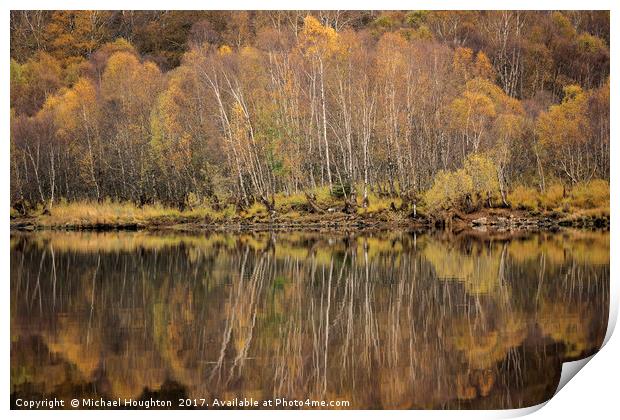 Autumn birch reflections Print by Michael Houghton